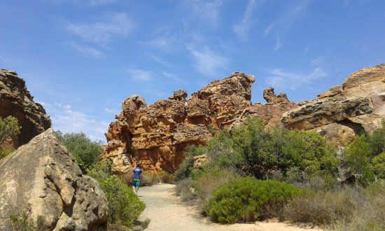 Cedarberg Wilderness Area