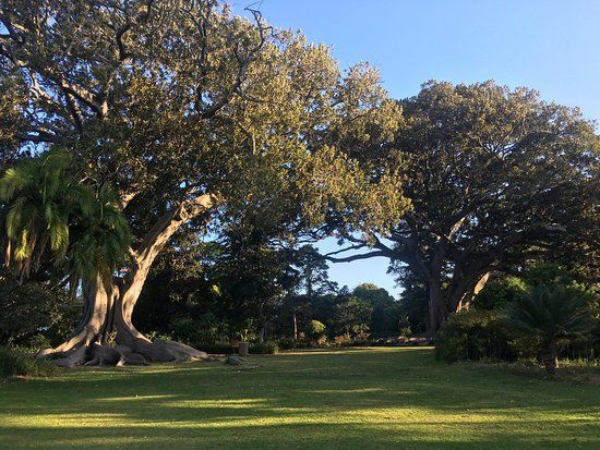 Arderne Gardens