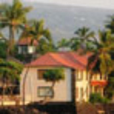 Blue Wave Fisheries And Seafood