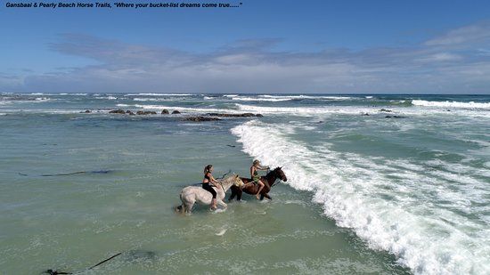 Gansbaai & Pearly Beach Horse Trails