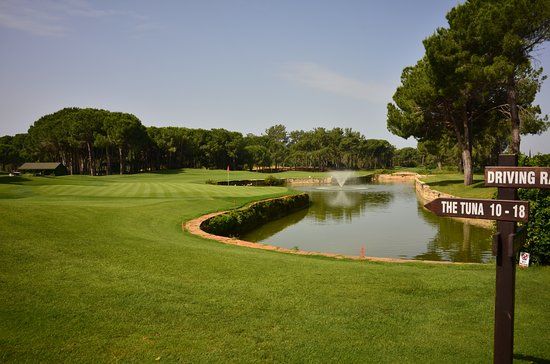 Golf Data TLC