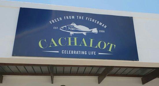 Cachalot
