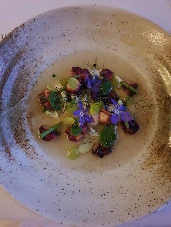 Salsify at the Roundhouse