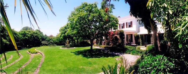 The Vineyard