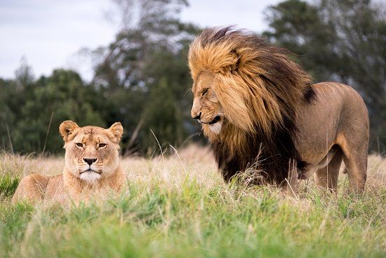 Plettenberg Bay Game Reserve