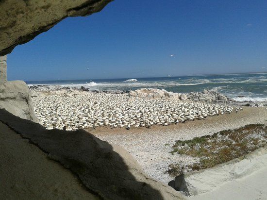 Bird Island Nature Reserve