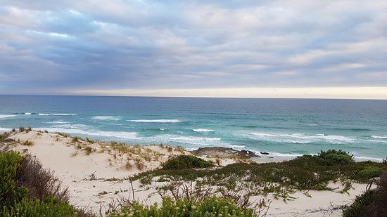 Seaside Dunes