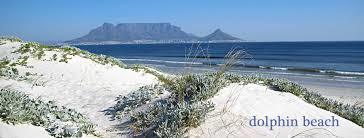 Dolphin Beach