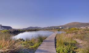Lake Michelle