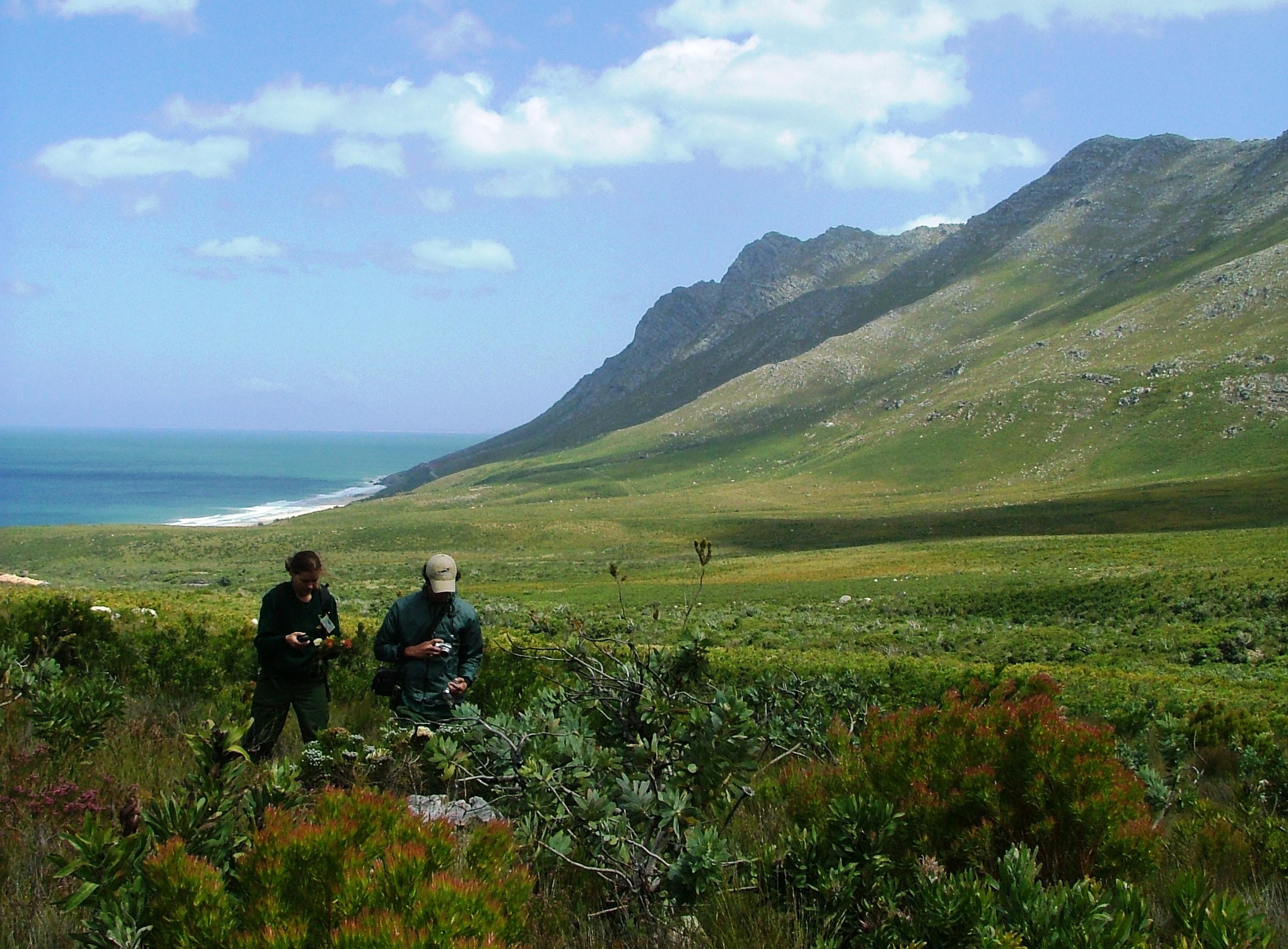 Kogelberg Nature Reserve