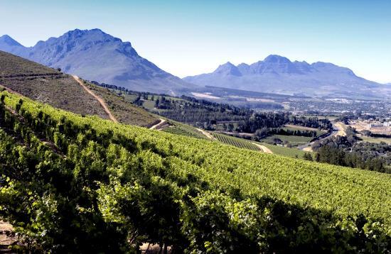 Remhoogte Wine Estate