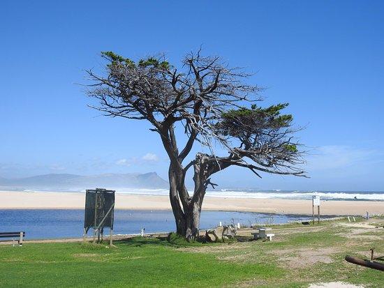 Kleinmond Beach