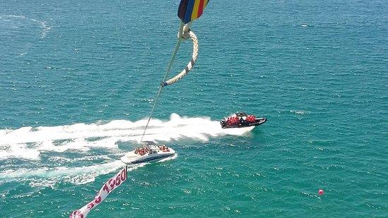 White Shark Parasailing