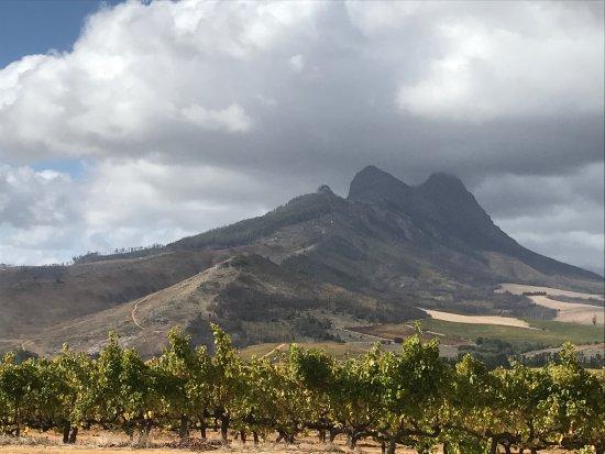 Dirtopia Trail Centre
