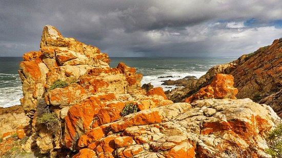 Garden Route Trail