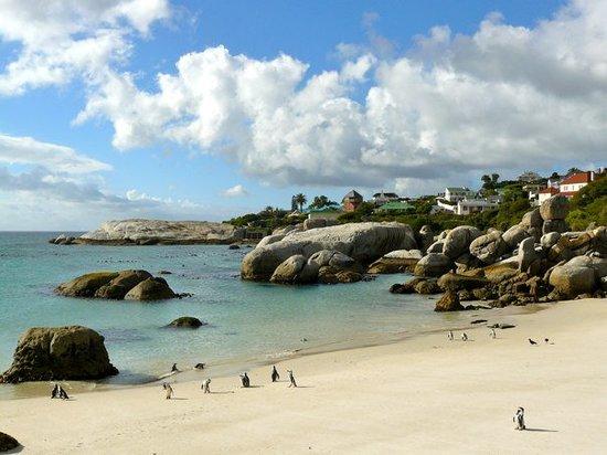 African Blue Tours