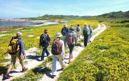 Beachcomber Guide