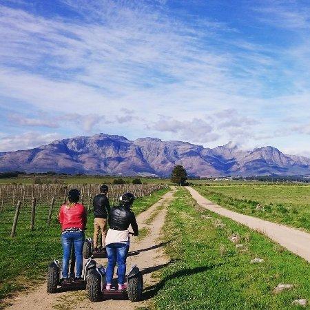 Segway Vineyard Tours