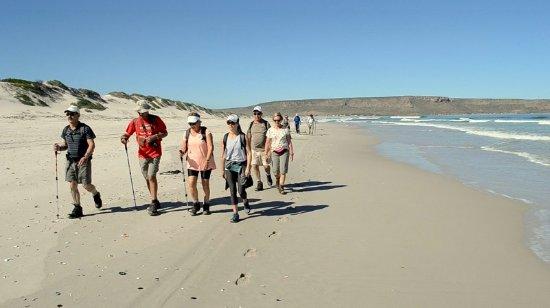 The Crayfish Trail