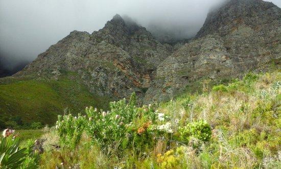 Franschhoek Adventures