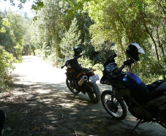 Bundu Motorcycle Adventures Day Tours