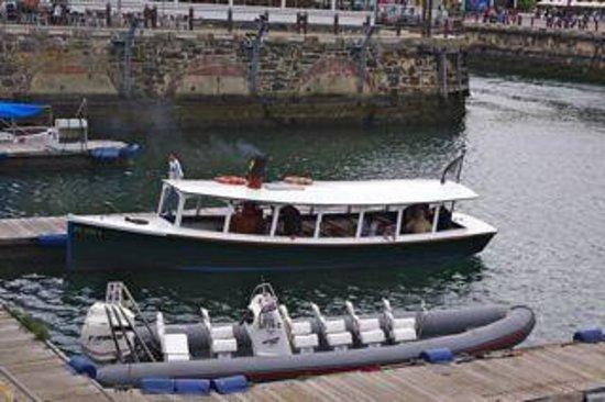Steamboat Vicky