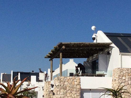 Kayak Paternoster with Dianne Heesom Green - Private Tours