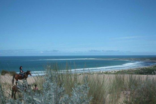 SeaHorse Eco Safaris