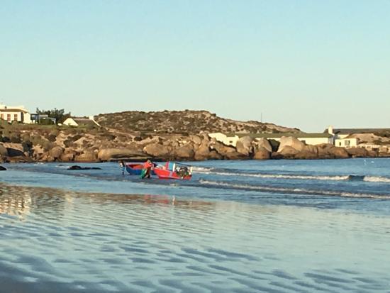 Walking Holidays - Day Tours