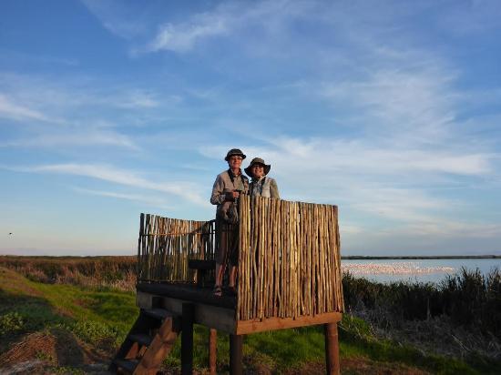 Cape Eco-Tours