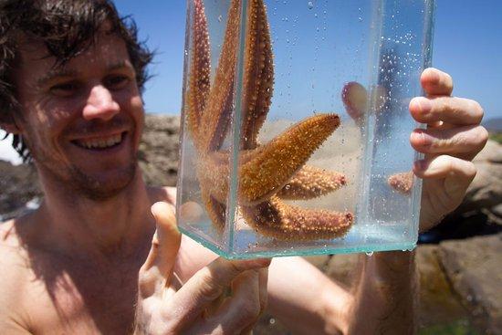 RockHopper Tours