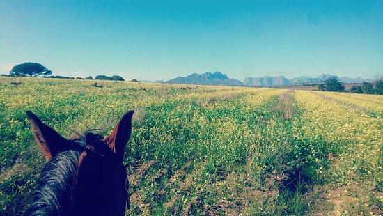 Bottelary Horse Riding