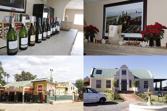 Dave's Tours & Transfers