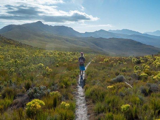Haarkapper Hiking Trail