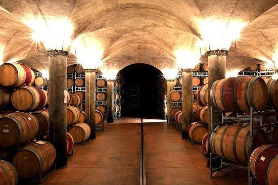 The Travelling Vineyard