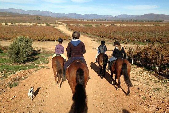 Robertson Riding School