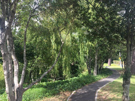 Liesbeek River Trail