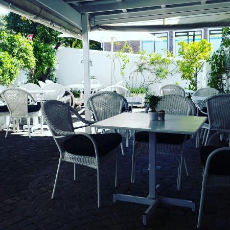 Oak Tree Coffee Shop