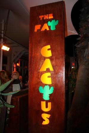 The Fat Cactus