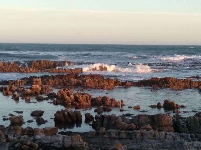 Davies Pool