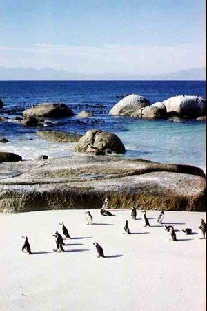Simon's Town Museum