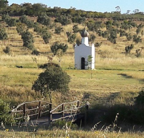 Guinevere Guest Farm